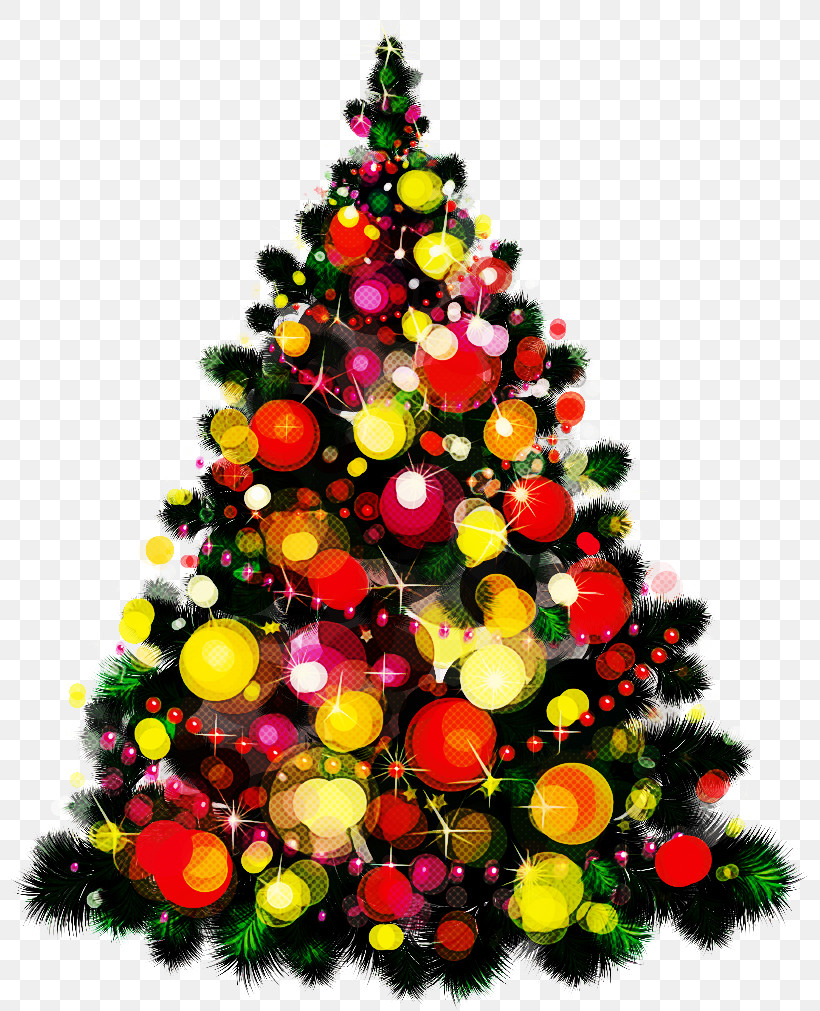 Christmas Tree, PNG, 800x1011px, Christmas Tree, Christmas, Christmas Decoration, Christmas Eve, Christmas Lights Download Free