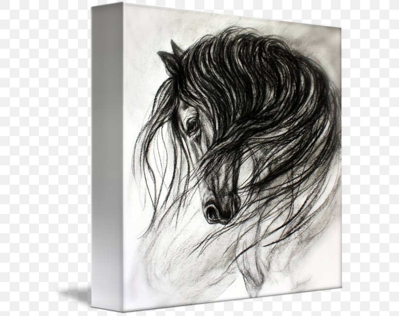 Drawing Horse Dance Art, PNG, 600x650px, Drawing, Art, Artist Trading Cards, Artwork, Black Download Free