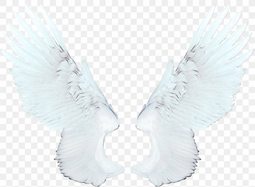 Flying Bird Background, PNG, 1000x736px, Wing, Angel, Angel Wing, Bird, Bird Flight Download Free