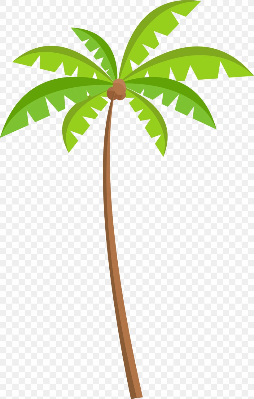 Green Coconut Tree Material, PNG, 1501x2358px, Beach, Branch, Coconut, Drawing, Flowerpot Download Free