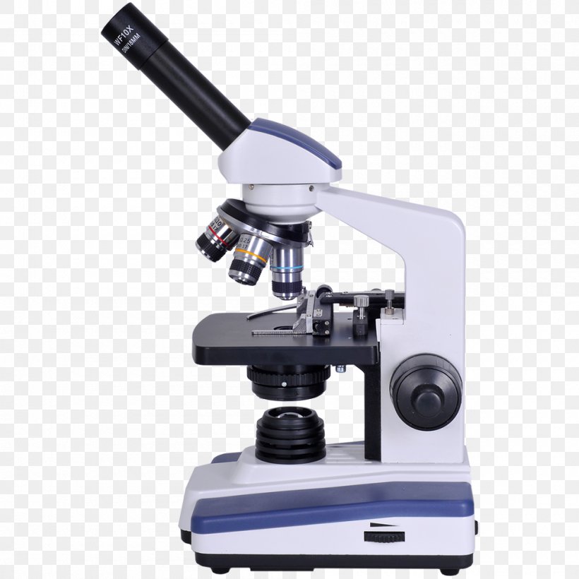Microscope Free Content Clip Art, PNG, 1000x1000px, Microscope, Condenser, Drawing, Free Content, Microscopy Download Free