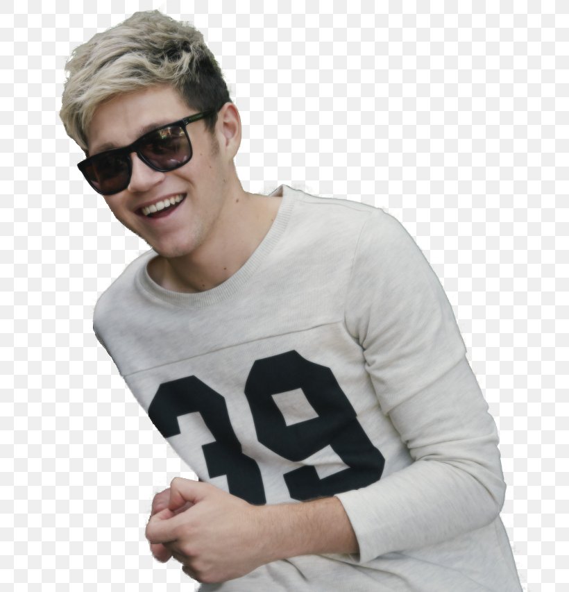 Niall Horan The X Factor One Direction Four On The Road Again Tour, PNG, 794x853px, Niall Horan, Arm, Boy Band, Celebrity, Collage Download Free