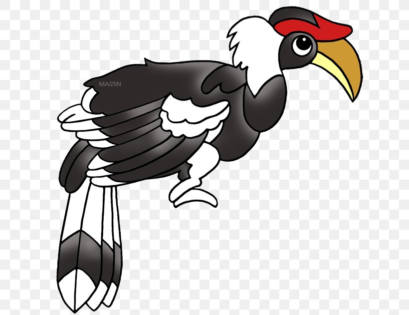 Rooster Chicken Bird Clip Art Beak, PNG, 648x631px, Rooster, Andean Condor, Beak, Bird, Bird Of Prey Download Free