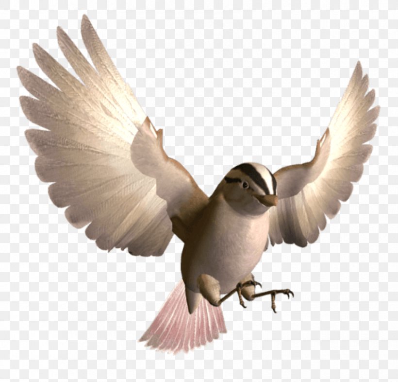 Bird Digital Image Clip Art, PNG, 850x815px, Bird, Beak, Bee Hummingbird, Cuckoos, Digital Image Download Free
