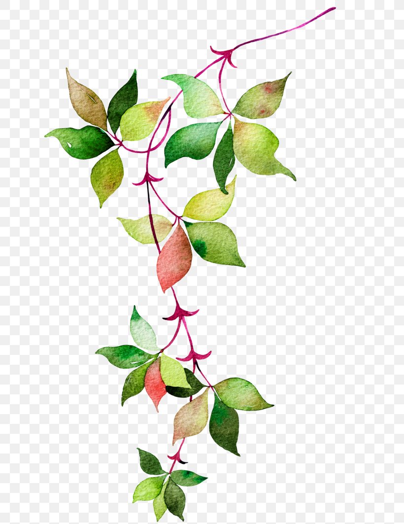 Flower Euclidean Vector Icon, PNG, 658x1063px, Watercolour Flowers, Autumn, Branch, Drawing, Floral Design Download Free