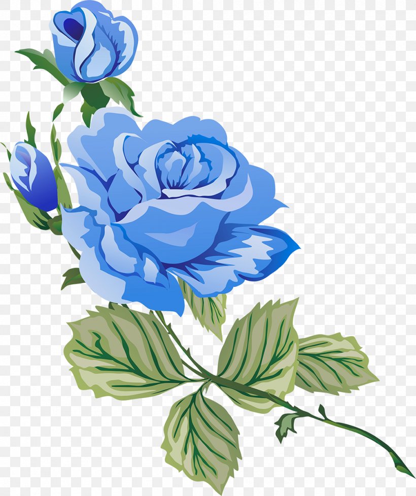 Garden Roses Clip Art, PNG, 1007x1200px, Garden Roses, Art, Artwork, Blue, Blue Rose Download Free