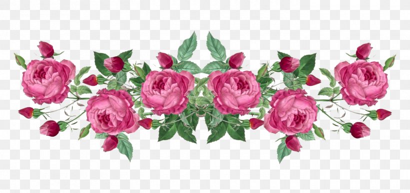 Garden Roses, PNG, 1400x661px, Pink, Cut Flowers, Flower, Garden Roses, Leaf Download Free