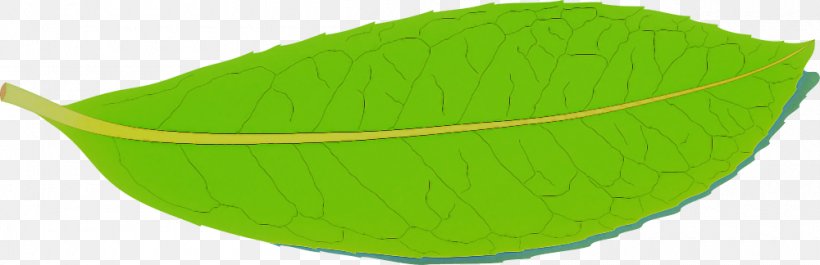 Green Leaf Yellow, PNG, 1000x324px, Green, Leaf, Yellow Download Free