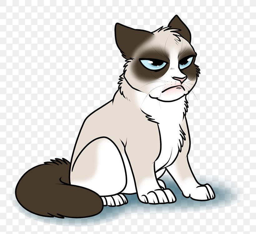 Kitten Whiskers Grumpy Cat Snowshoe Cat Scottish Fold, PNG, 800x748px, Kitten, Art, Breed, Carnivoran, Cat Download Free