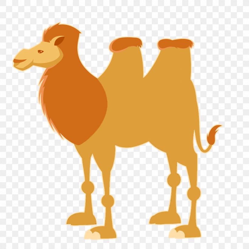 Bactrian Camel Dromedary Cartoon Illustration, PNG, 1000x1000px, Bactrian Camel, Arabian Camel, Beak, Camel, Camel Like Mammal Download Free