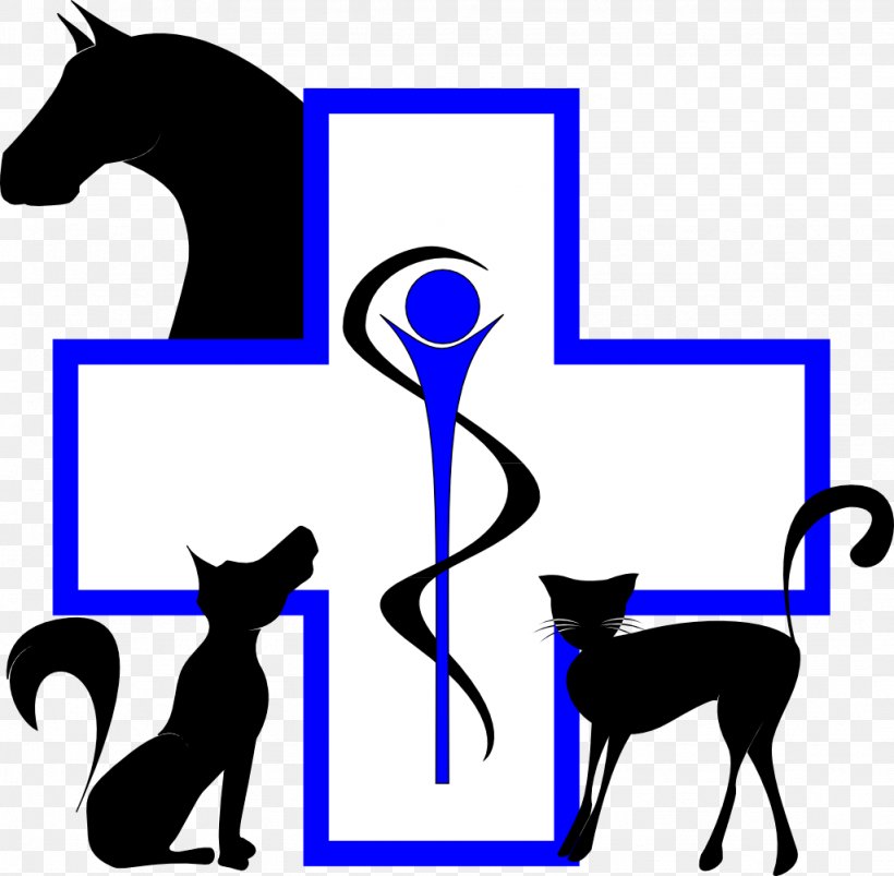 Cat Horse Waremme Equine Medicine Veterinarian, PNG, 1024x1003px, Cat, Animal, Area, Artwork, Black Download Free