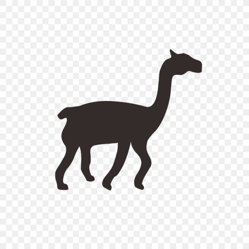 Dobermann Llama Alpaca T-shirt, PNG, 828x828px, Dobermann, Alpaca, Art, Black And White, Camel Like Mammal Download Free
