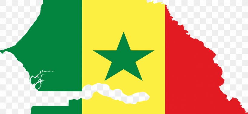 Flag Of Senegal Flag Of Bosnia And Herzegovina, PNG, 1300x600px, Senegal, Flag, Flag Of Bosnia And Herzegovina, Flag Of Senegal, Flag Of The United States Download Free