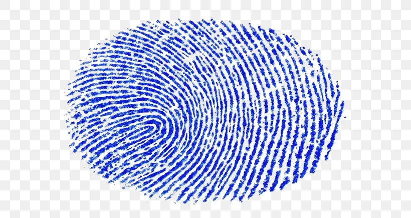 Fingerprint Big Data Value Center Information Background Check, PNG, 602x435px, Fingerprint, Authentication, Background Check, Big Data, Blue Download Free