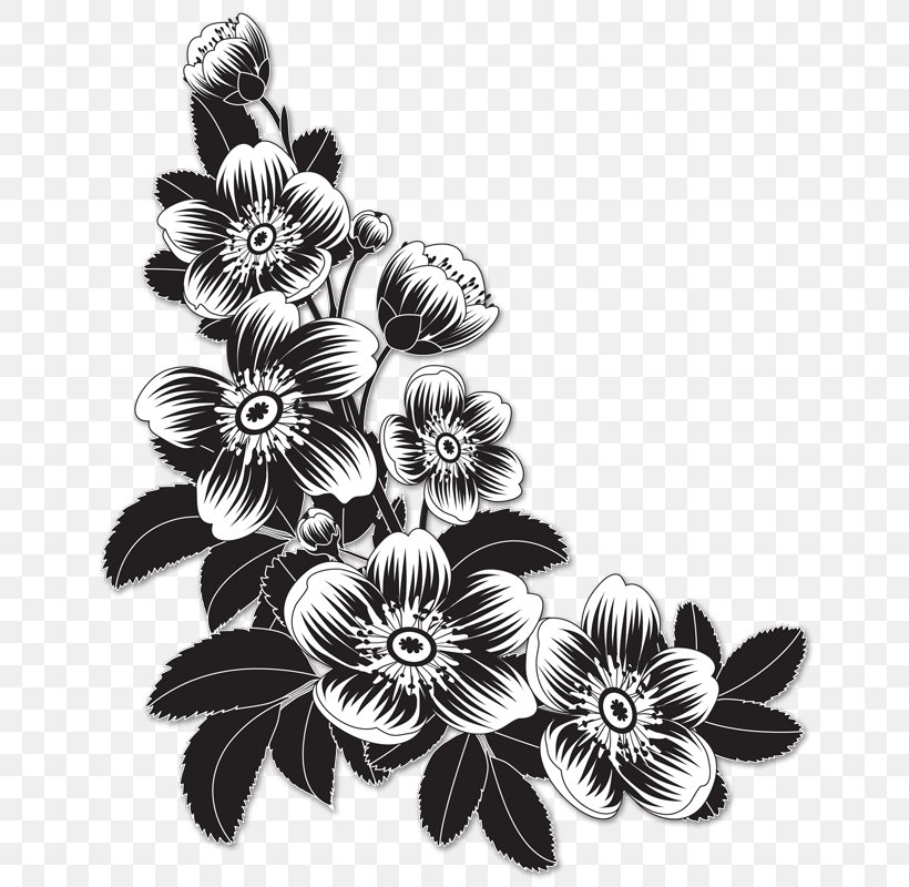 Flower Clip Art, PNG, 662x800px, Flower, Black And White, Drawing, Flora, Floral Design Download Free