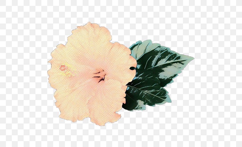 Rosemallows Cut Flowers Petal Peach, PNG, 500x500px, Rosemallows, Cut Flowers, Flower, Flowering Plant, Hawaiian Hibiscus Download Free