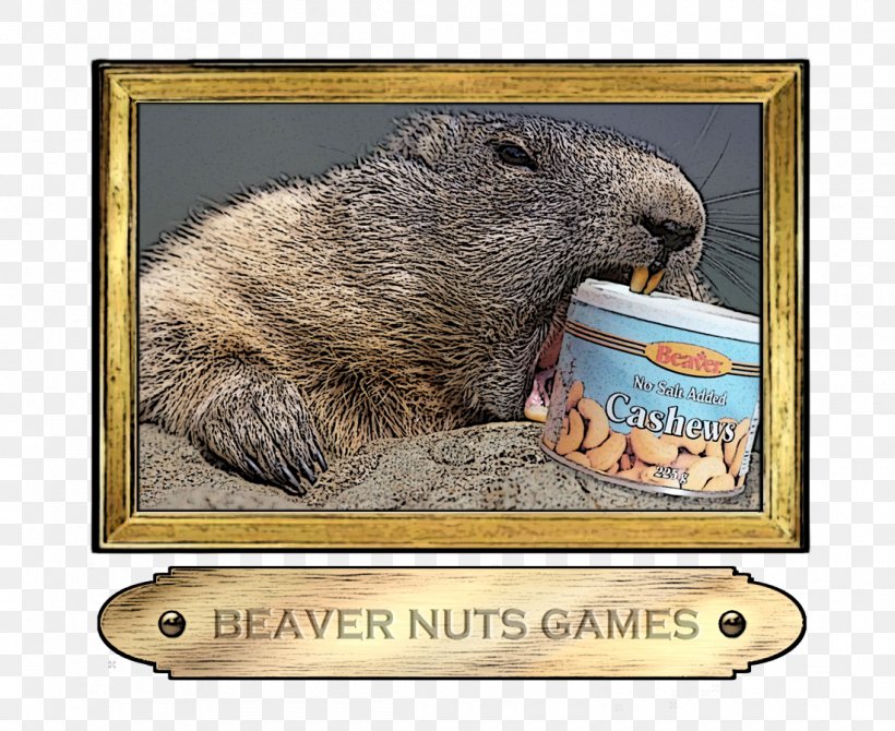Beaver Wombat Marmot, PNG, 1100x900px, Beaver, Fauna, Mammal, Marmot, Rat Download Free