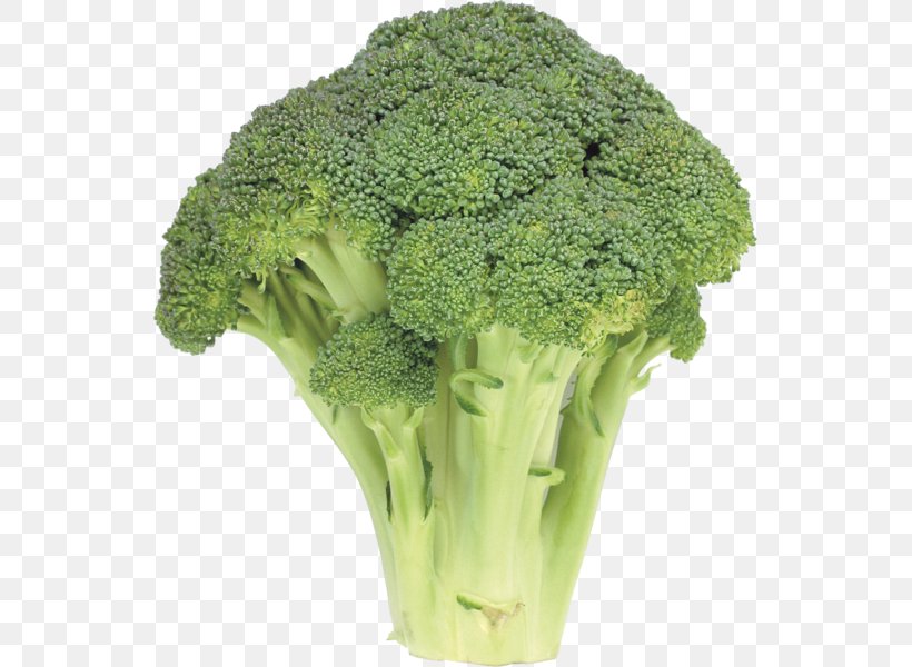 Broccoli Cruciferous Vegetables Cabbage Caesar Salad, PNG, 543x600px, Broccoli, Brassica Oleracea, Cabbage, Caesar Salad, Cauliflower Download Free