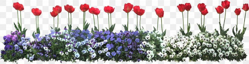 Flower Download Clip Art, PNG, 2746x712px, Flower, Computer Graphics, Computer Software, Floristry, Flowering Plant Download Free