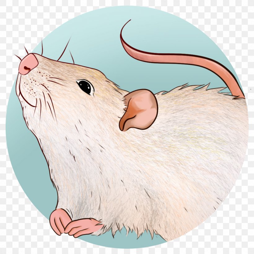 Illustration Gerbil Beaver Whiskers, PNG, 1000x1000px, Rat, Beaver, Cartoon, Computer Mouse, Fauna Download Free