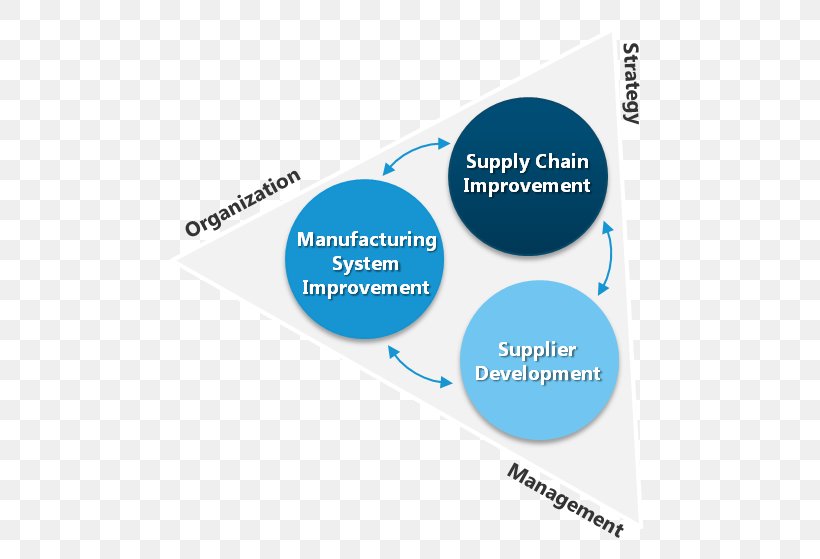 Organization Supply Chain Management Strategic Management, PNG, 499x559px, Organization, Area, Best Practice, Brand, Business Process Management Download Free