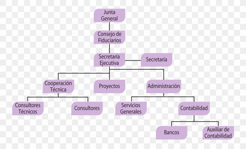 Organizational Structure Organizational Chart Belizean–Guatemalan Territorial Dispute, PNG, 1627x991px, Organization, Brand, Central America, Concept, Concept Map Download Free