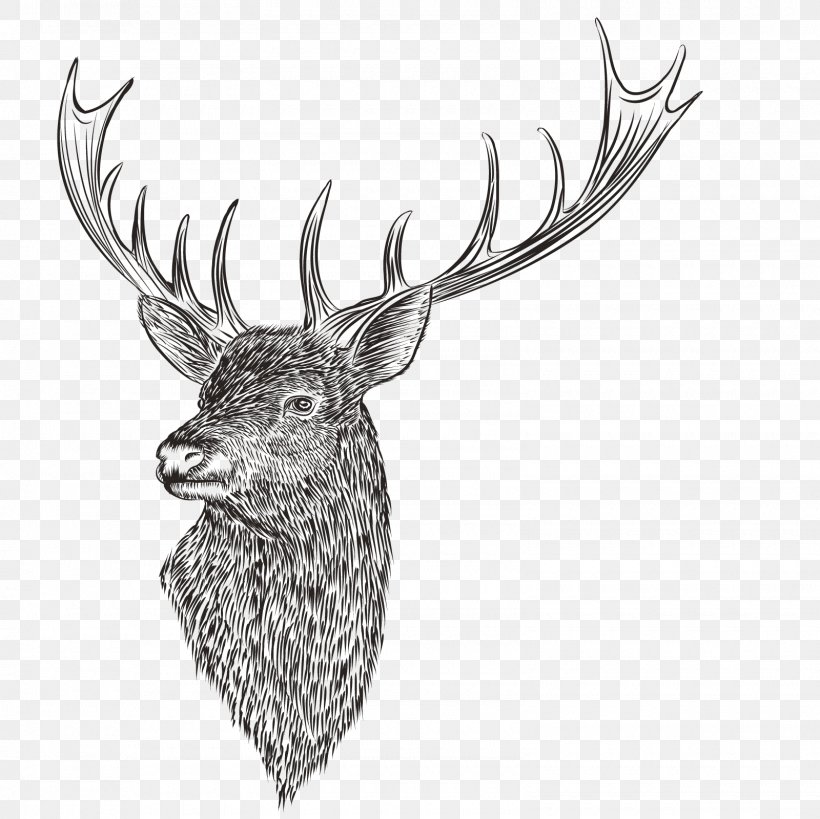 Reindeer Drawing, PNG, 1600x1600px, Reindeer, Antler, Black And White, Deer, Drawing Download Free