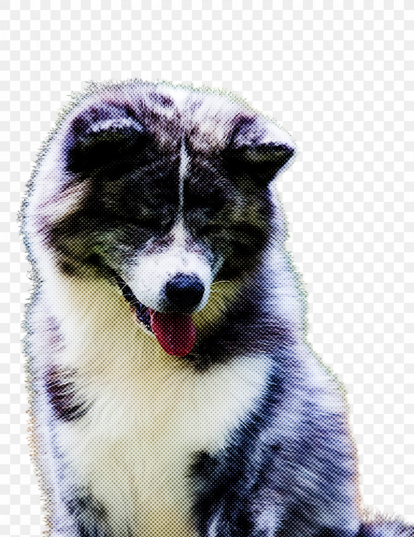 Dog Akita Alaskan Malamute Canadian Eskimo Dog Siberian Husky, PNG, 1756x2280px, Dog, Akita, Alaskan Malamute, Canadian Eskimo Dog, Siberian Husky Download Free