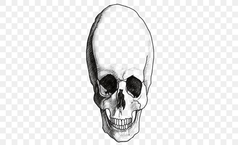 Drawing Skull Headphones /m/02csf White, PNG, 500x500px, Drawing, Audio, Audio Equipment, Black And White, Bone Download Free