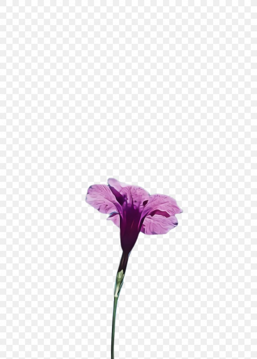 Flower Flowering Plant Violet Purple Plant, PNG, 1692x2364px, Flower, Cut Flowers, Flowering Plant, Lilac, Petal Download Free