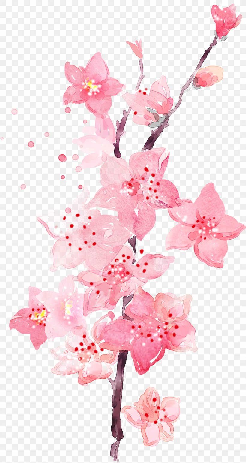 Plum Flower Wallpaper, PNG, 1528x2875px, Plum, Blossom, Branch, Cdr, Cherry  Blossom Download Free