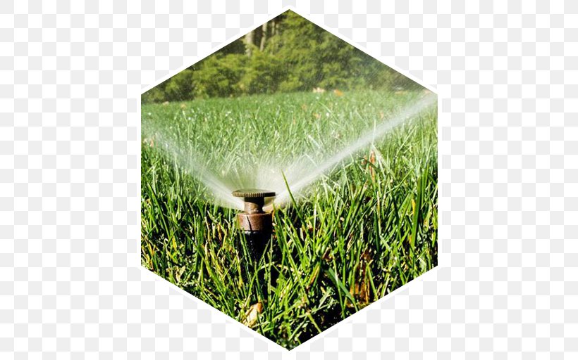 Irrigation Sprinkler Crop Lawn Grasses, PNG, 512x512px, Irrigation Sprinkler, Crop, Family, Field, Grass Download Free