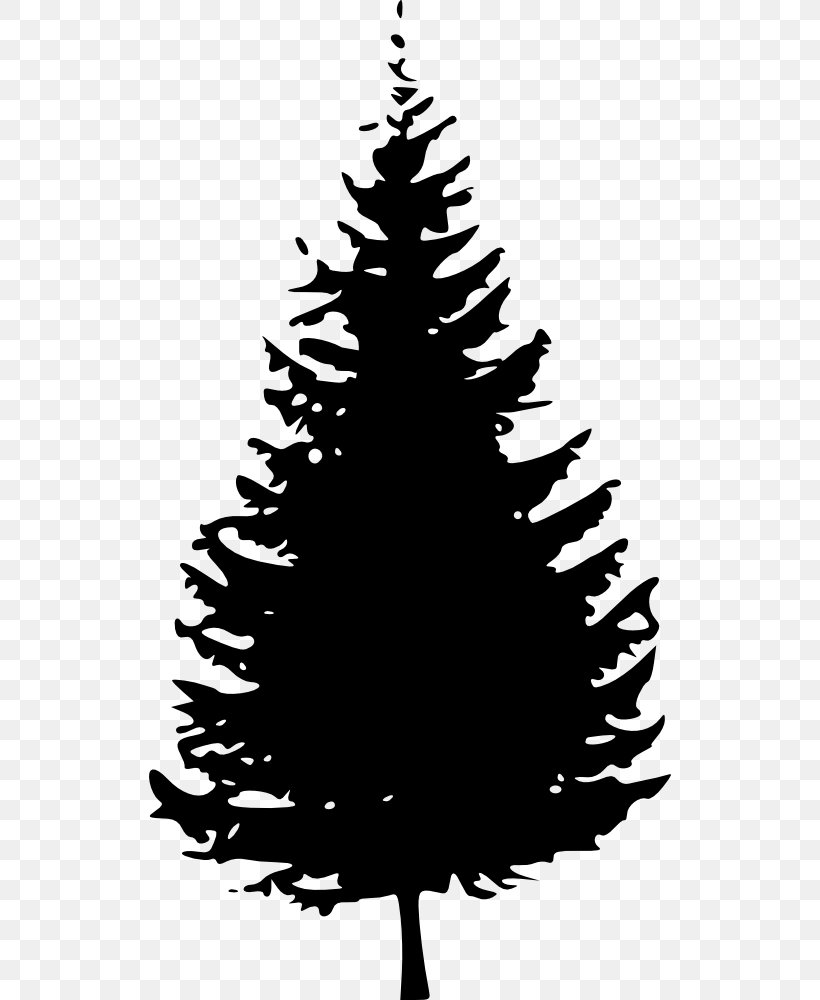 Pine Tree Fir Clip Art, PNG, 522x1000px, Pine, Black And White, Blue Spruce, Branch, Cedar Download Free