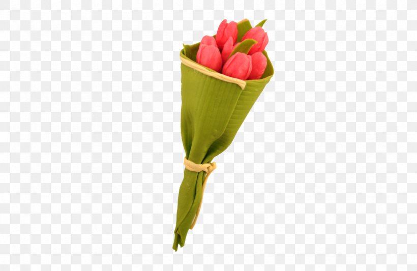Tulip Flower Eettafel Plant Soil, PNG, 1075x700px, Tulip, Bud, Cut Flowers, Daffodil, Eetkamerstoel Download Free