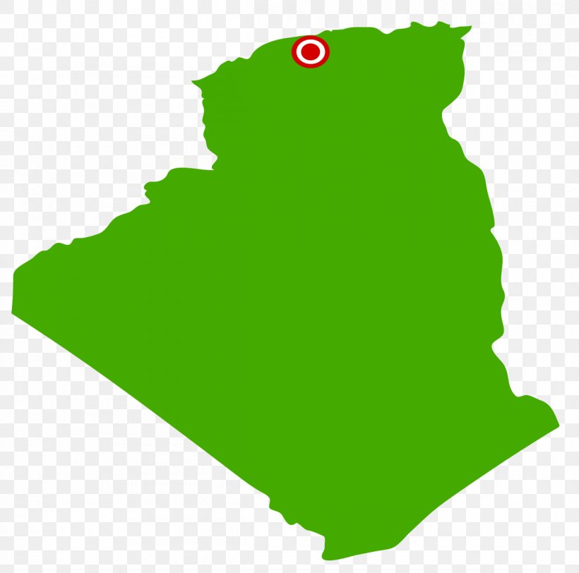 Algiers Royalty-free Vector Map, PNG, 1200x1189px, Algiers, Algeria, Amphibian, Area, Flag Of Algeria Download Free