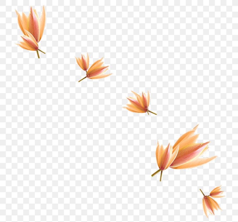 Clip Art, PNG, 750x763px, Motif, Flora, Flower, Flowering Plant, Orange Download Free