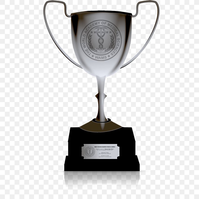 World Cup Trophy, PNG, 555x819px, Trophy, Award, Cricket World Cup Trophy, Drawing, Drinkware Download Free