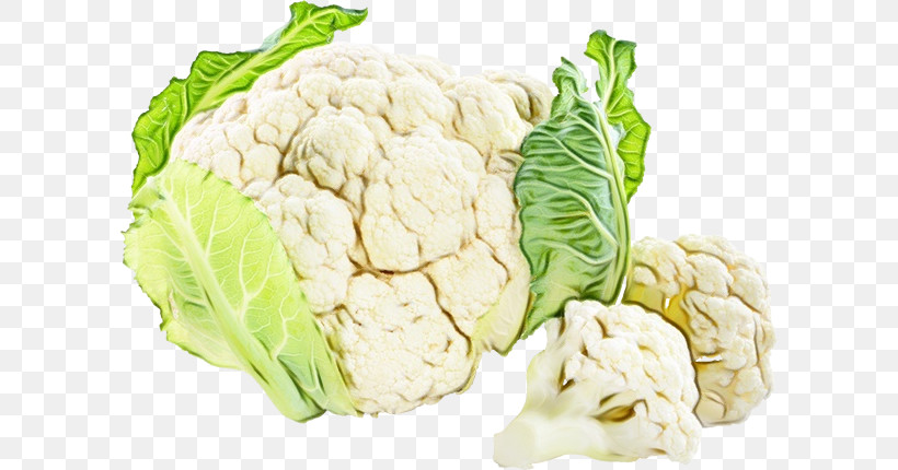 Cauliflower, PNG, 600x430px, Watercolor, Cabbage, Cauliflower, Collard, Ingredient Download Free