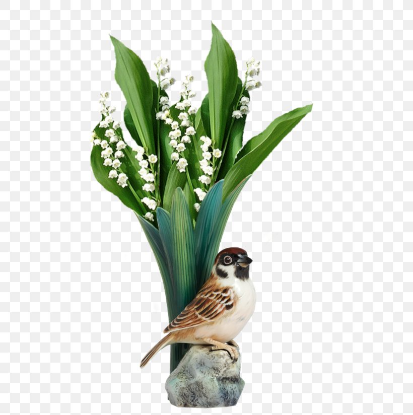 Lily Of The Valley May 1 Happiness Amulet Luck, PNG, 500x824px, Lily Of The Valley, Amulet, Bird, Flower, Flowerpot Download Free