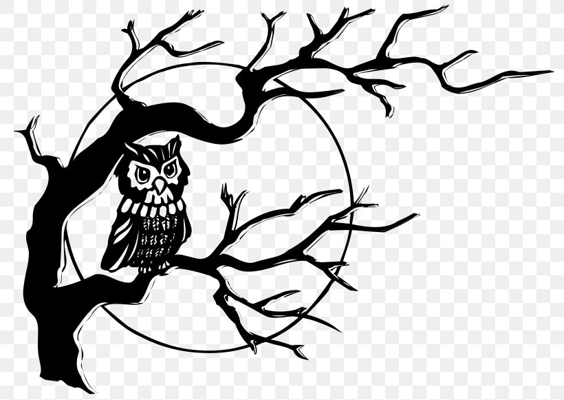 Bird Line Drawing, PNG, 800x581px, Owl, Animal, Beak, Bird, Bird Of Prey Download Free