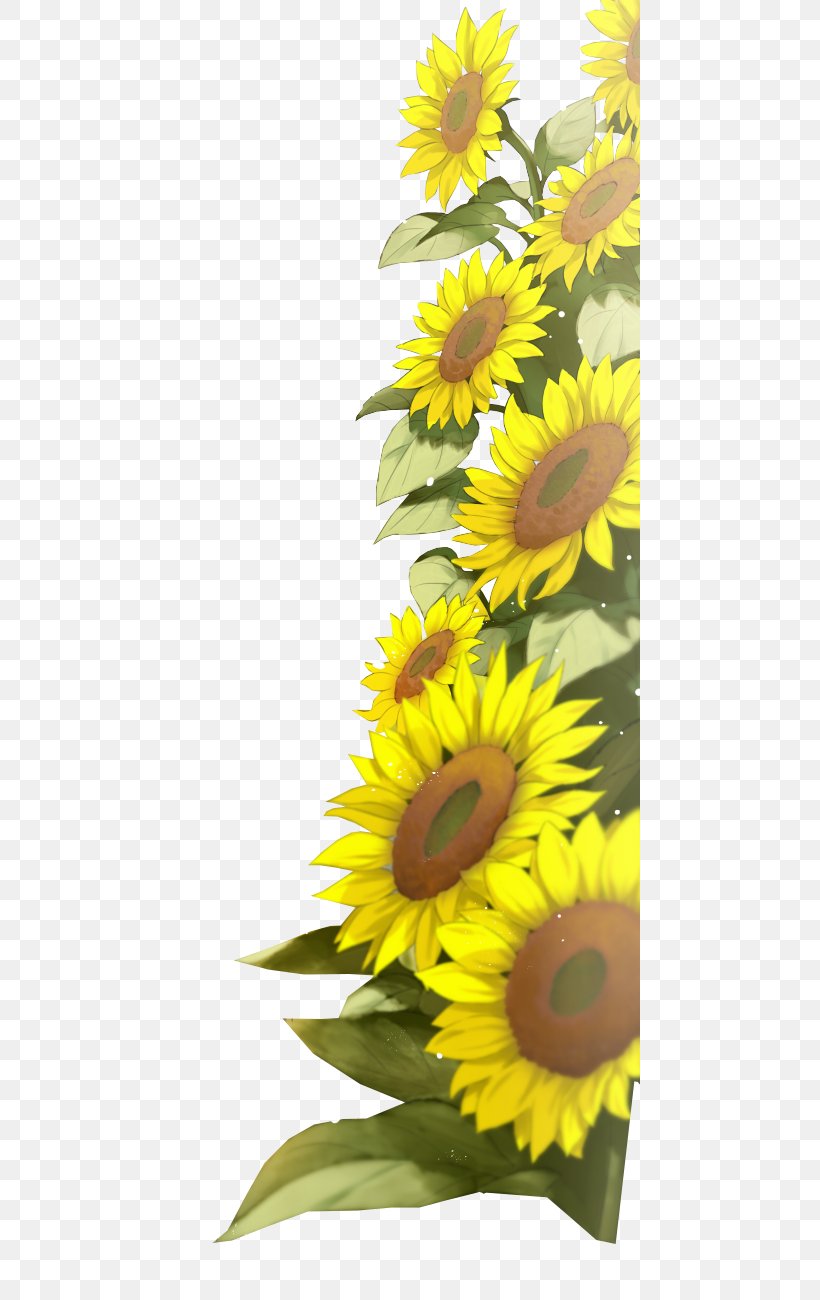 Common Sunflower Han Sang-hwan Im Sang-mi Baek Jung-ki, PNG, 460x1300px, Common Sunflower, Actor, Cut Flowers, Daisy Family, Floral Design Download Free