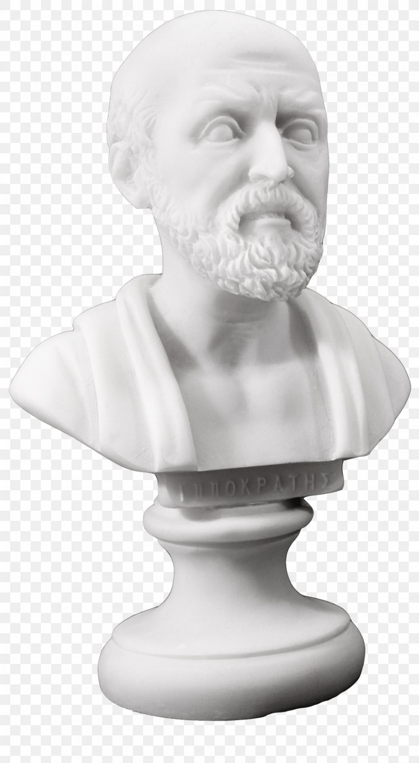 Hippocrates Legal Nurse Consultant Bust Nursing Care Panacea, PNG, 1124x2048px, Hippocrates, Apollo, Art, Asclepius, Black And White Download Free