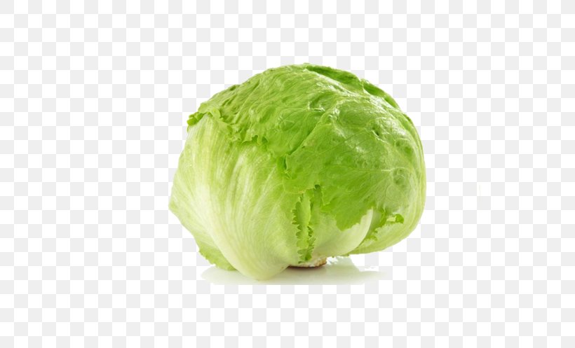 Iceberg Lettuce Greek Salad Romaine Lettuce Vegetable, PNG, 800x497px, Iceberg Lettuce, Arugula, Brussels Sprout, Cabbage, Calorie Download Free