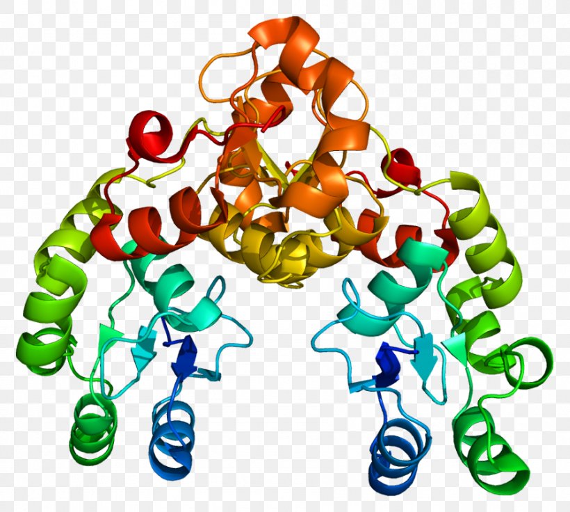 MDC1 ATM Serine/threonine Kinase Protein H2AFX MRN Complex, PNG, 895x804px, Watercolor, Cartoon, Flower, Frame, Heart Download Free