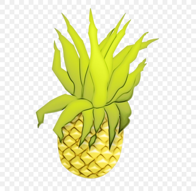 Pineapple Cartoon Image Illustration, PNG, 647x800px, Pineapple, Ananas, Bromeliaceae, Cartoon, Designer Download Free