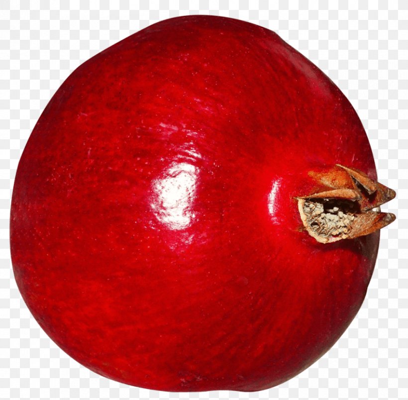 Pomegranate Juice Image Clip Art, PNG, 850x834px, Pomegranate, Apple, Christmas Ornament, Digital Image, Food Download Free