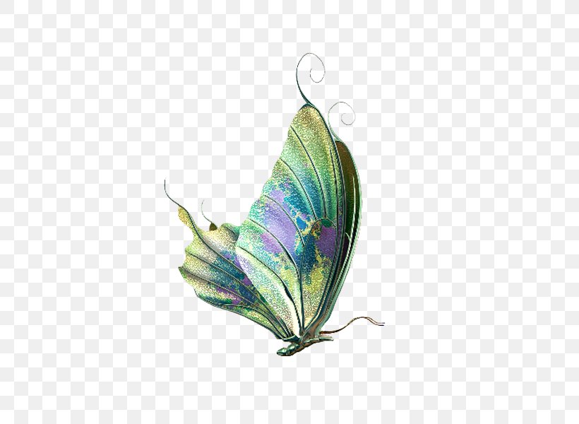 Butterfly Insect Desktop Wallpaper Clip Art, PNG, 600x600px, Butterfly, Butterflies And Moths, Glasswing Butterfly, Insect, Invertebrate Download Free