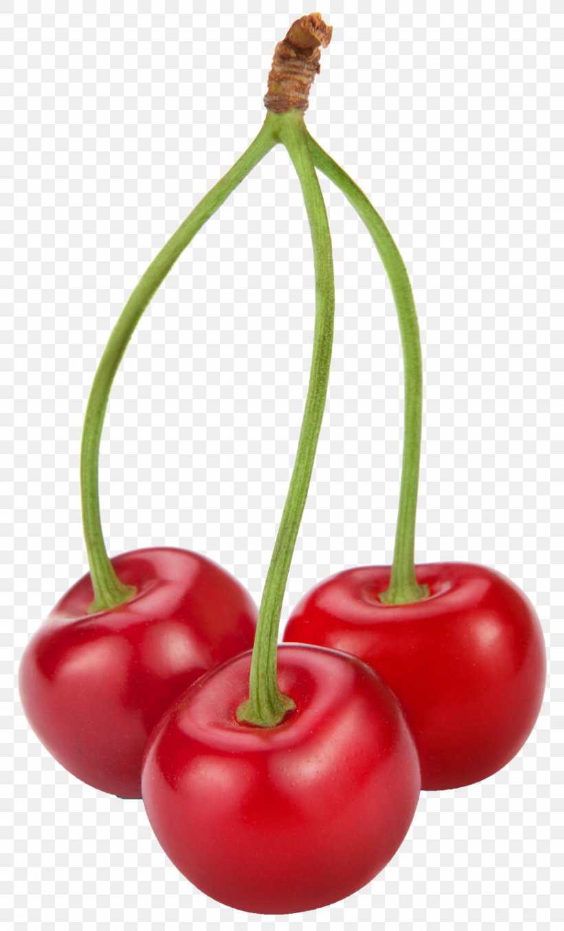 Food Cherry Fruit Clip Art, PNG, 2000x3302px, Cherry, Apple, Banana, Bell Peppers And Chili Peppers, Berry Download Free
