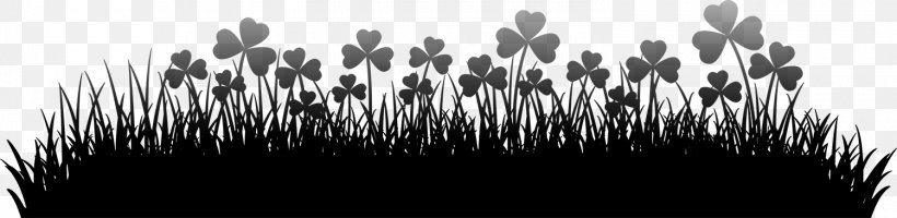 Black & White, PNG, 1500x367px, Black White M, Blackandwhite, Brush, Flower, Grass Family Download Free