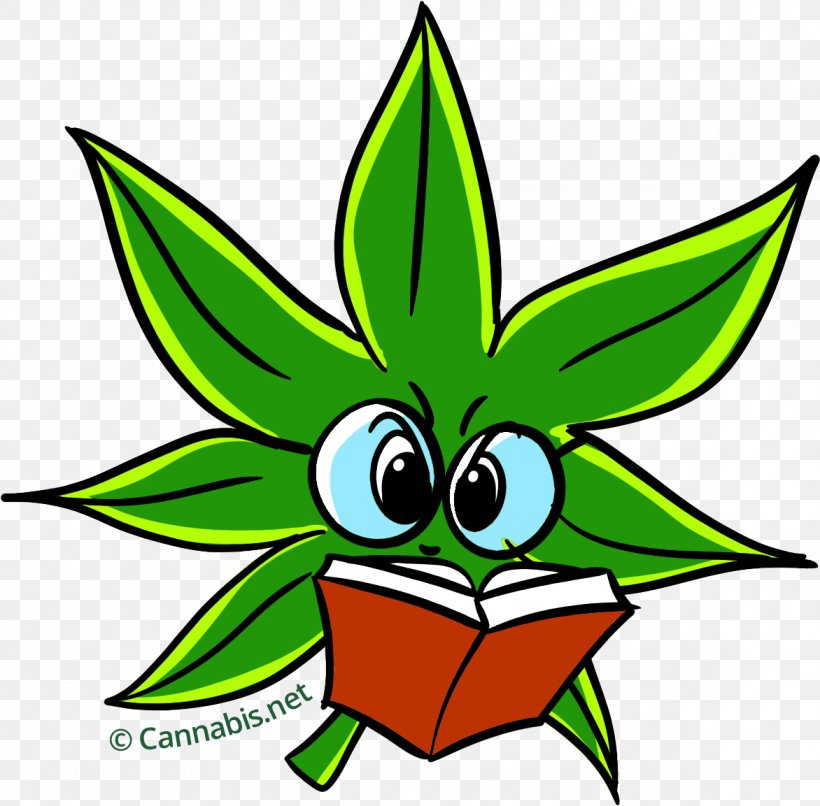 Cannabis Sativa Cannabidiol Hash Oil Kush, PNG, 1172x1153px, Cannabis Sativa, Artwork, Cannabidiol, Cannabinoid, Cannabis Download Free